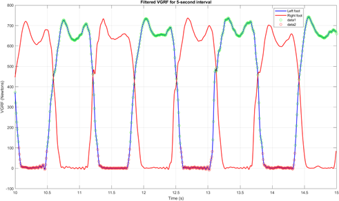 Gait Analysis Project Screenshot